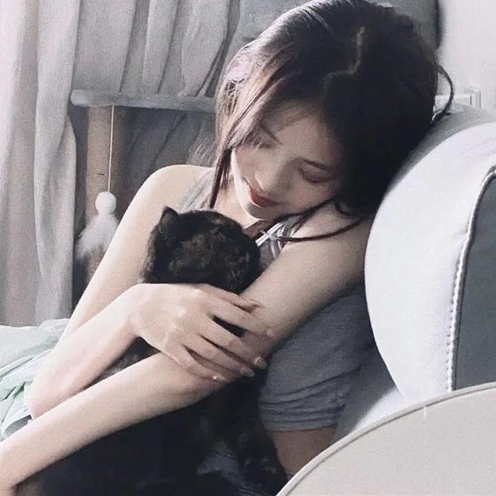 探长拉瓦丁